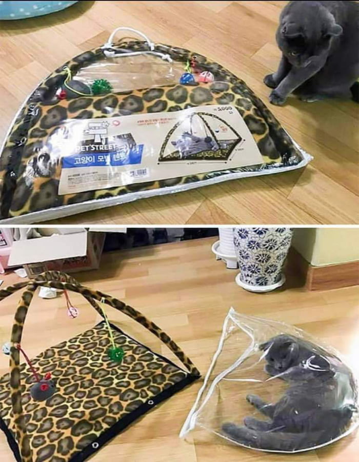 Katzenspielzeug