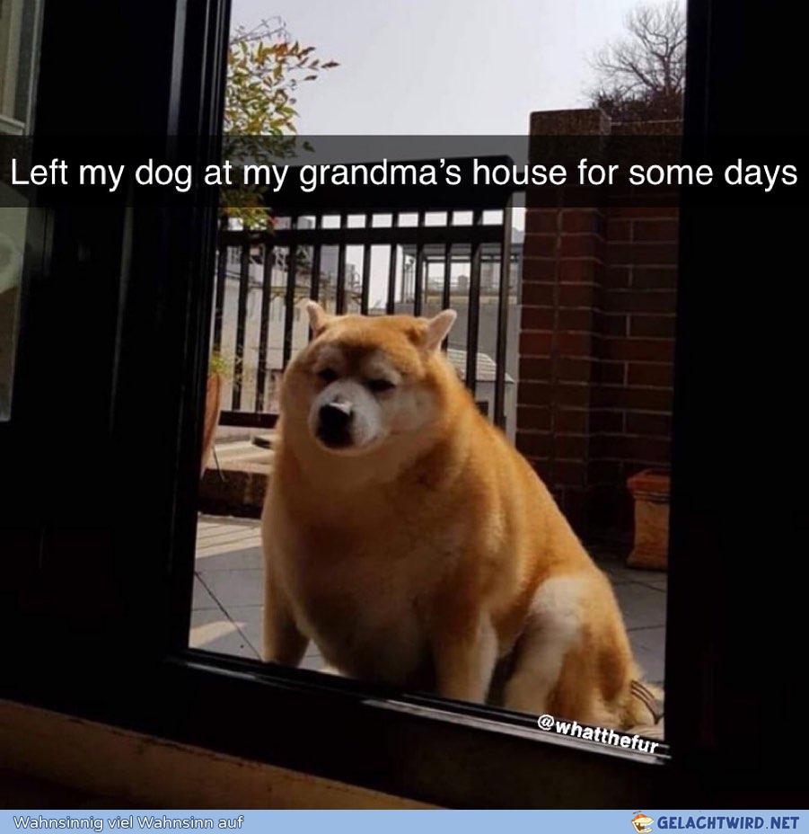lel der hunt