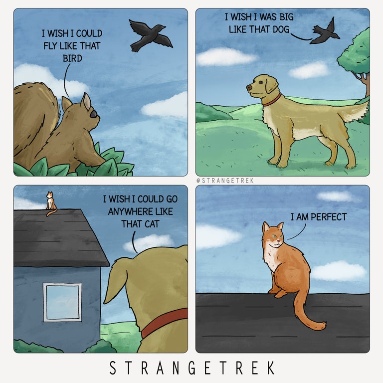 Lel die Katze