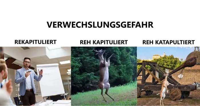 lol das Reh