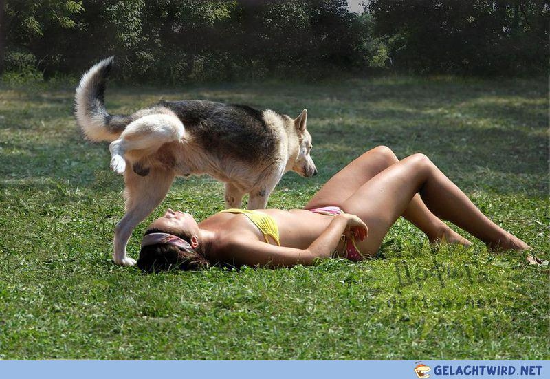 Lol der hunt