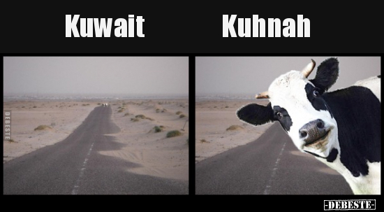 Lol die Q :D