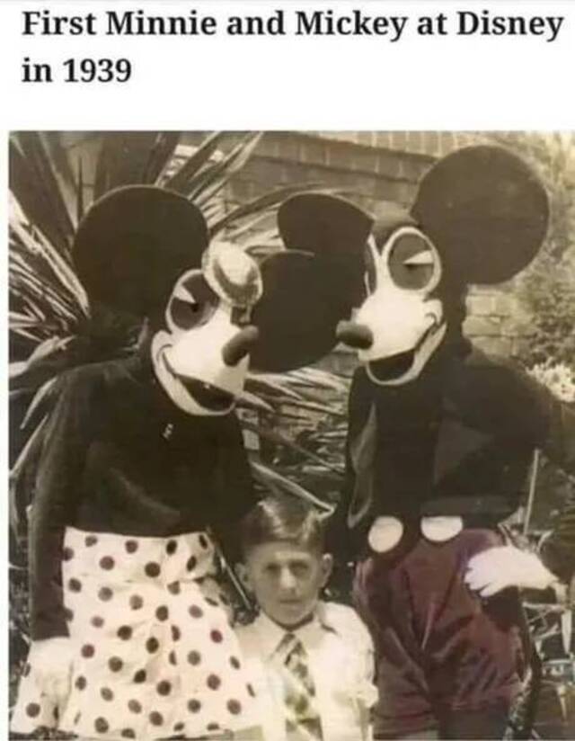 Looks like fun