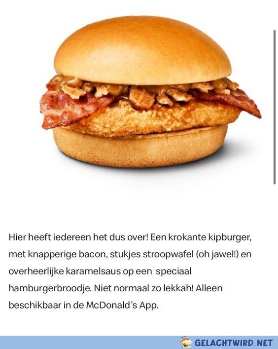 Niederländer