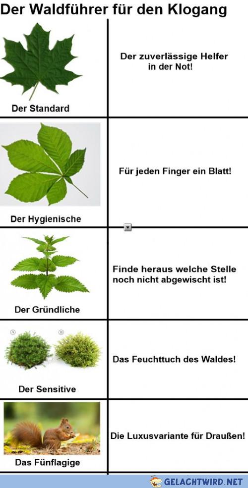 Obacht