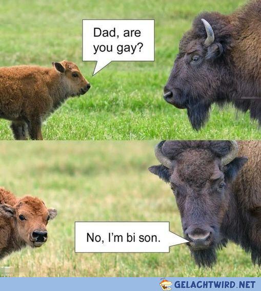 och nö