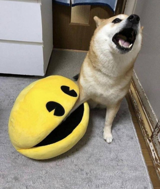 Oh nooooooes