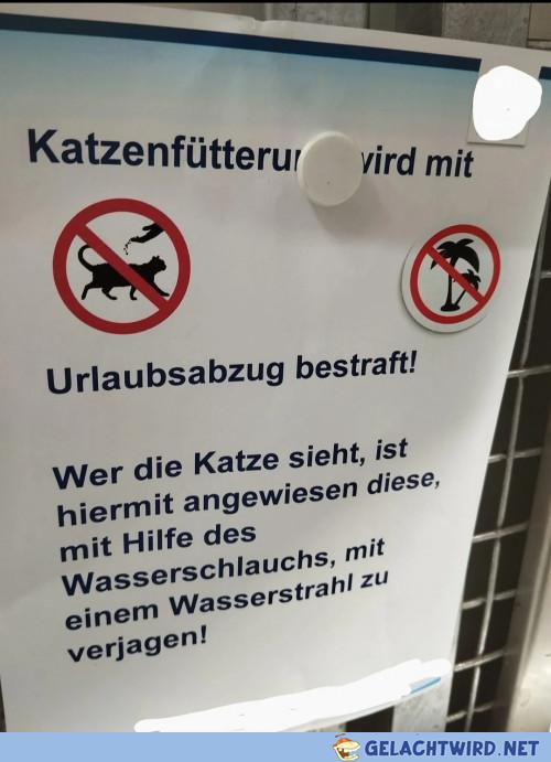 Raus mit de Viecher