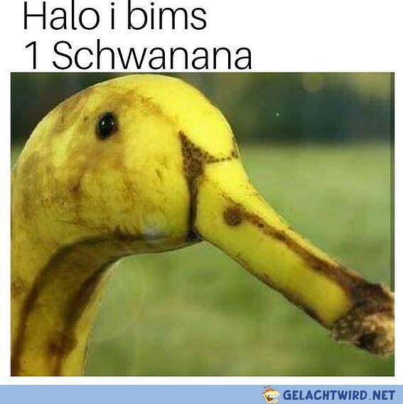 Schwanana