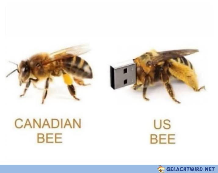US Bee