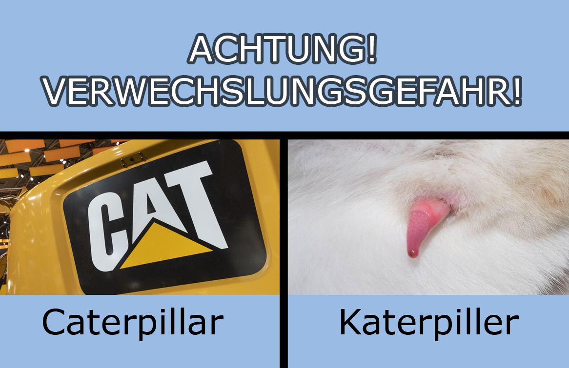 VWG Cat