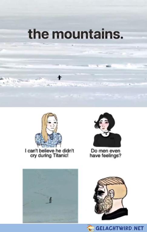 🐧