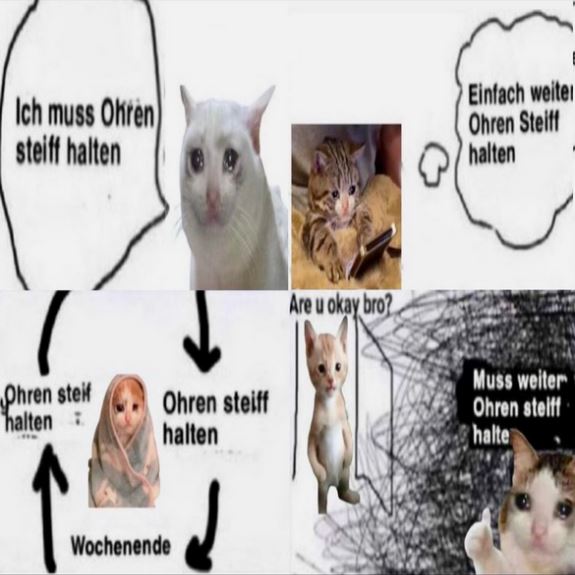 😿